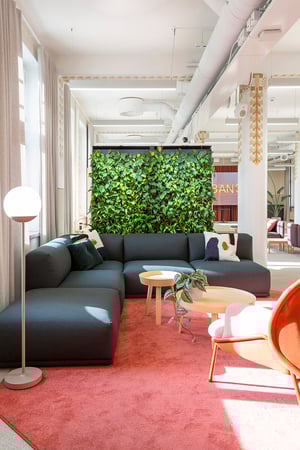 Naava One greenwall as a space divider