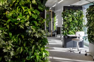 A furniture-like green wall in an office