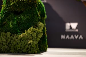 Boardwalk x Naava Habitare 2026 (2)
