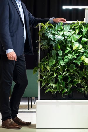 Naava Flow low plant wall and man in a suit standing next to it