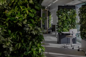 Naava automated plant walls-1