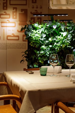 Naava greenwalls at Muji restaurant (16)