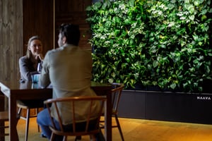 Naava greenwalls at Muji restaurant (3)