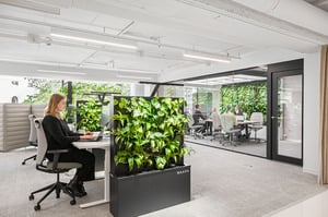 A low space dividing plant wall in a modern open office with an employee worknig by a desk