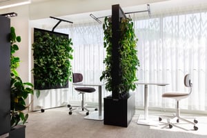 A plant furniture piece as a space divider in a bright open-plan office