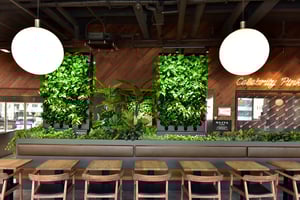 Naava & Baskin-Robbins (1)_web