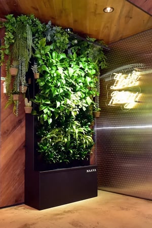 Baskin Robbins Seoul, Korea, Naava green walls (4)_1200