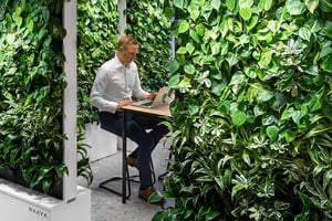Naava & COOR Biophilic office design (1)