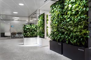 Naava & COOR Biophilic office design (2)