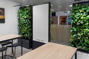 Naava & COOR Biophilic office design (3)