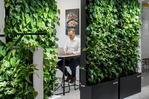 coor-biophilic-office-naava-green-wall-01