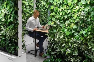 coor-biophilic-office-naava-green-wall-02