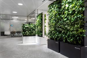 coor-biophilic-office-naava-green-wall-03