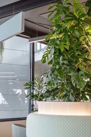 Naava x F-secure (18)