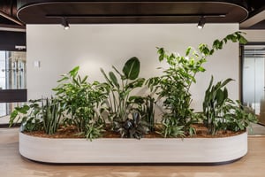 Naava x F-secure (25)