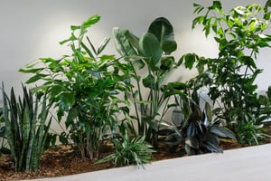 Naava x F-secure (37)-1