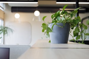 Naava x F-secure (7)