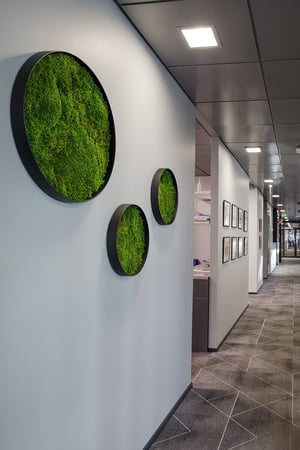 finanssiala kasvit toimistossa (17)