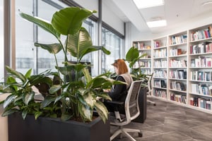 finanssiala kasvit toimistossa (32)