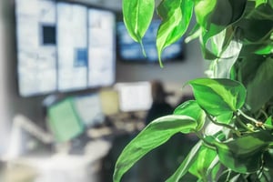 finavia-airport-naava-green-wall-01