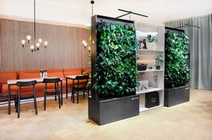 Flowlife 1_web-1_1200