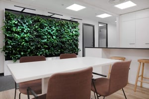 Naavan viherseinät Fonectan tiloissa (4)