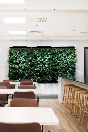 fonecta-office-naava-green-wall-07
