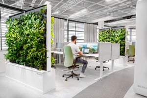 Food Folk McDonalds with Naava green walls (2)