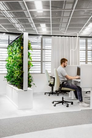 Food Folk McDonalds with Naava green walls (3)1200