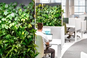 Food Folk McDonalds with Naava green walls (4)1200