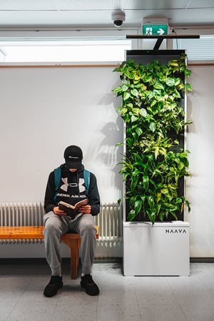 Viherratkaisut lukiossa - Naava (4)