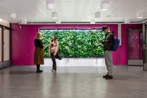 Viherratkaisut lukiossa - Naava (8)