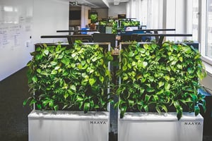 ICT Goup & Naava_3_high res