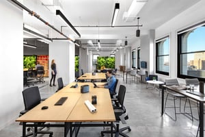 M Moser Naava green walls (1)