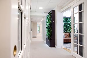 Serendipity Stockholmn Office with Naava Green Walls (6)