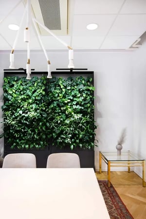 systematic-growth-stockholm-naava-green-wall-01