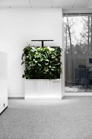 Naava & Siemens (5)_1200