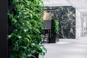 Signify office space in Stockholm with Naava green walls (7)