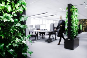 Signify office space in Stockholm with Naava green walls (9)