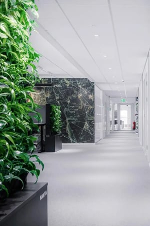 signify-office-naava-green-wall-04-stockholm