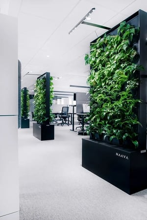signify-office-naava-green-wall-06-stockholm