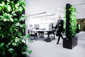 signify-office-naava-green-wall-07-stockholm