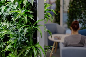 Svenska spel et Naava växt (2)