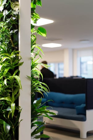 Svenska spel et Naava växt (3)