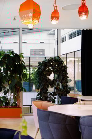 Svenska spel et Naava växt (6)