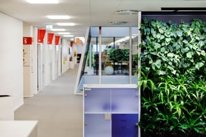 Svenska spel et Naava växt (8)