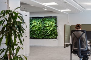 Naav x Zurich Insurance kasvit toimistossa (8)