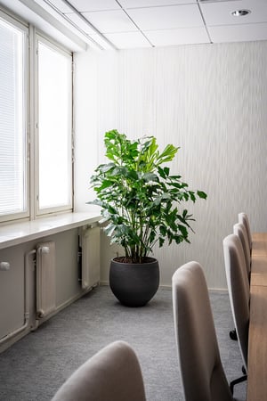 Naav x Zurich Insurance kukkaruukku toimistossa (10)