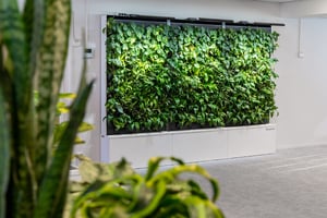 Naav x Zurich Insurance näyttävä viherseinä toimistossa (5)