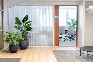 Naav x Zurich Insurance viherkasvit toimistossa (9)